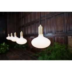 Lichtbron LED 6W Ovaal E27 - Tala - Koop Online -Woonverlichting Winkel 5060400150205 pc3a6re led 6w oval e27 tala 5