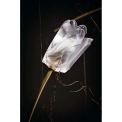 Tulip 7 Linear Hanglamp - Slamp - Koop Online 5 Tulip 7 Linear Hanglamp - Slamp - Koop Online -Woonverlichting Winkel 80247270902073