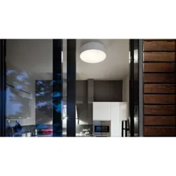 Smithfield C Pro Plafondlamp Mat Zwart - Flos - Koop Online -Woonverlichting Winkel 8059607014905smithfield c pro loft matt black flos4